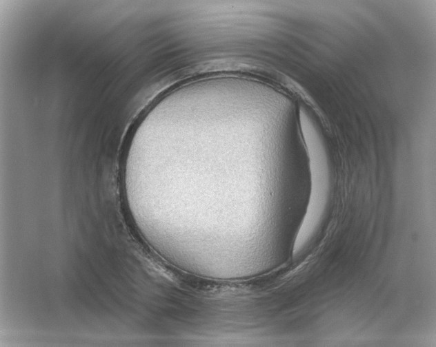 X0000063480786200602172022
