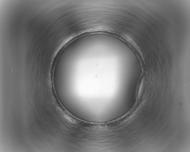 X0000063480789200602172022