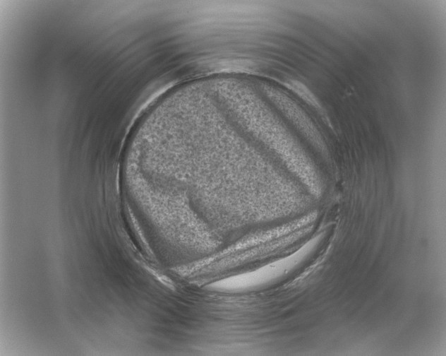X0000063480790200602172022