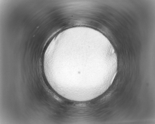 X0000063480798200602172022