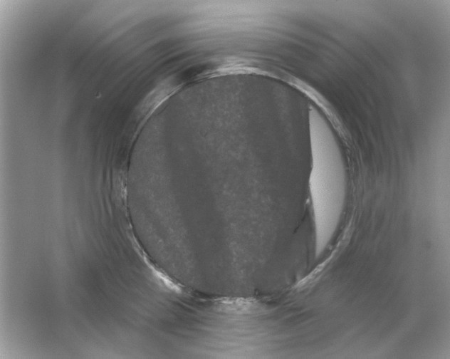 X0000063480809200602172021