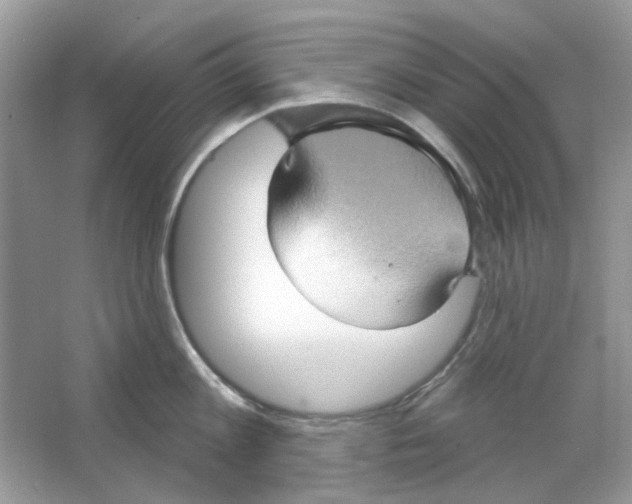 X0000063480813200602172021