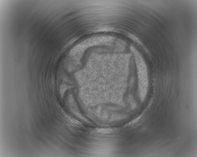 X0000063480825200602172021