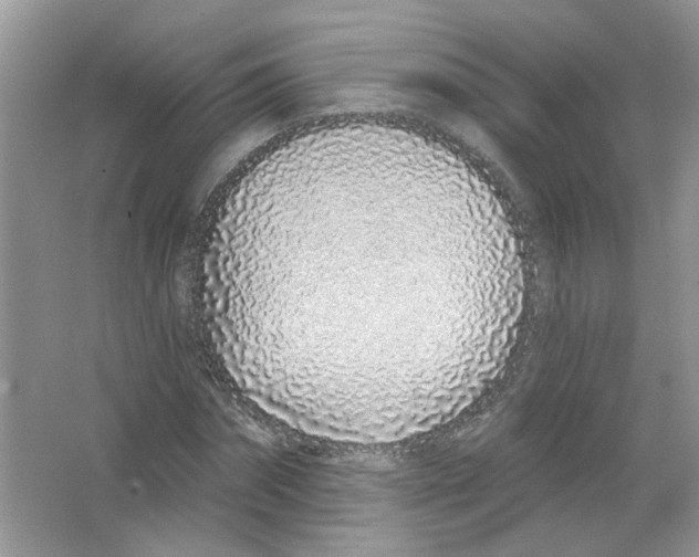 X0000063480874200602172020