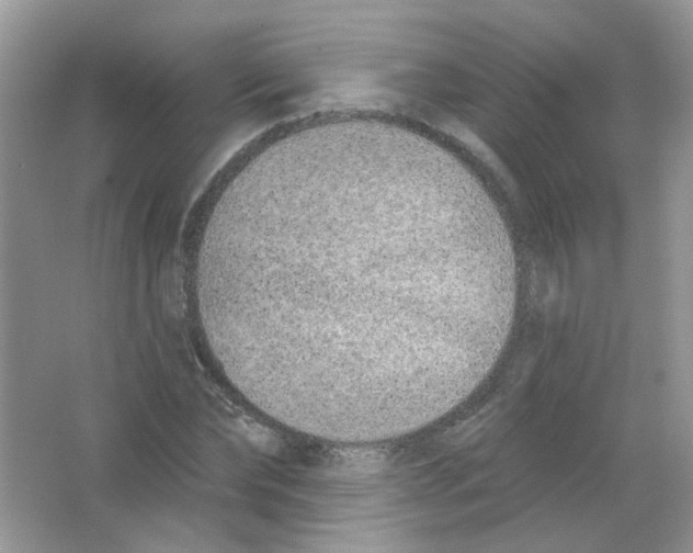 X0000063480878200602172020