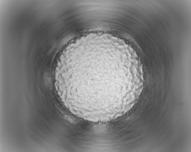 X0000063480882200602172020