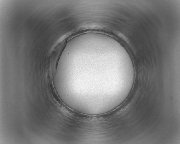 X0000063480922200602172019