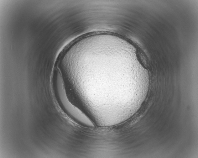 X0000063480928200602172019
