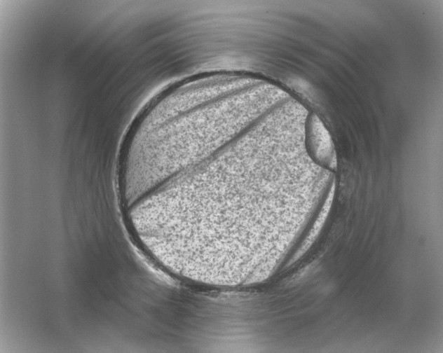 X0000063480942200602172019