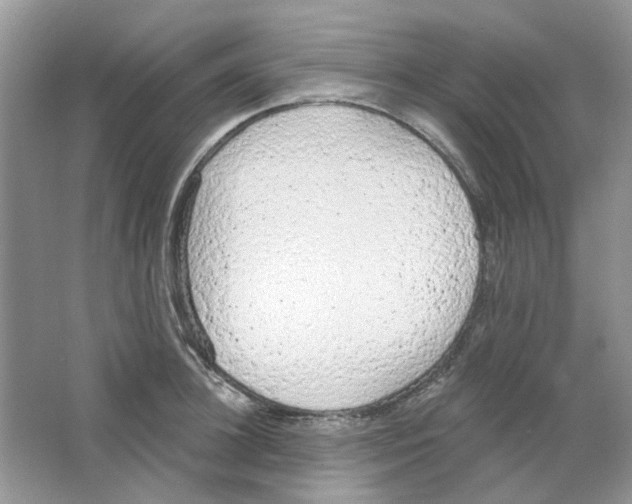 X0000063480948200602172019
