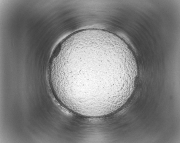 X0000063480952200602172019