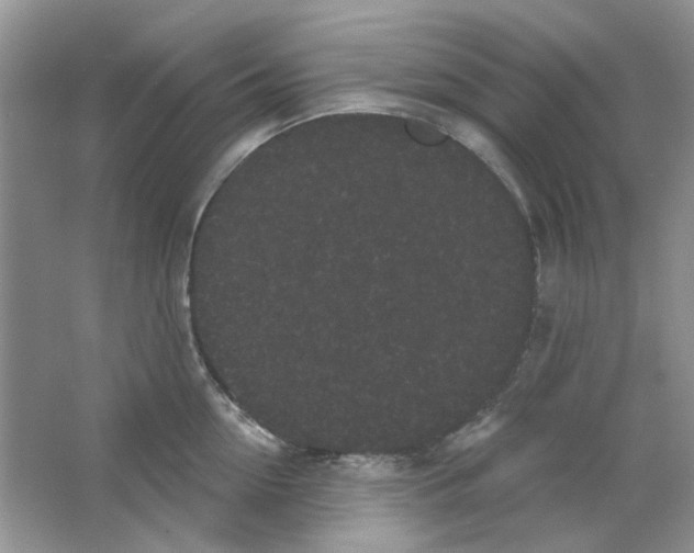 X0000063480954200602172019