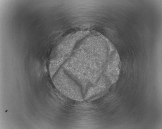 X0000063480962200602172019