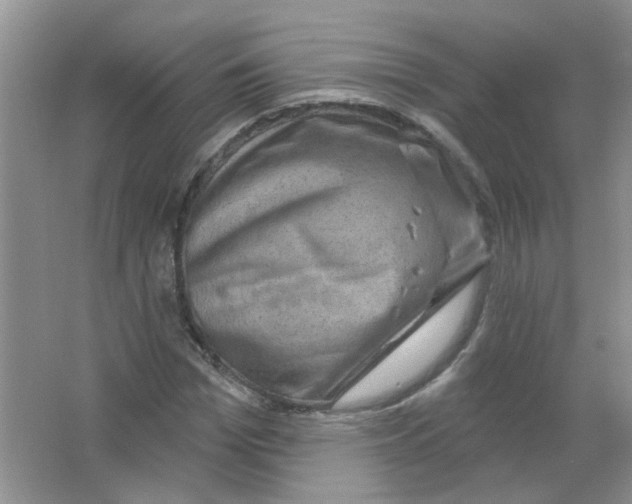 X0000063480969200602172019
