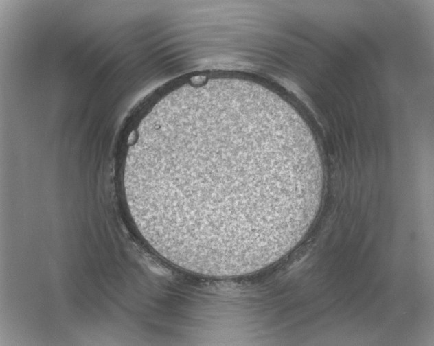 X0000063480971200602172018
