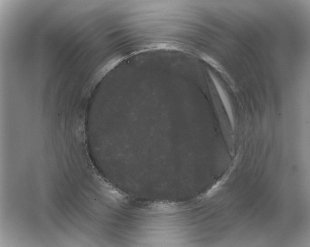 X0000063480977200602172018