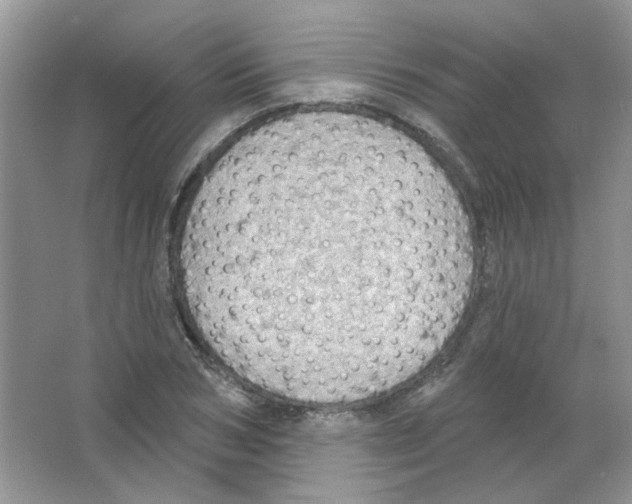 X0000063480978200602172018