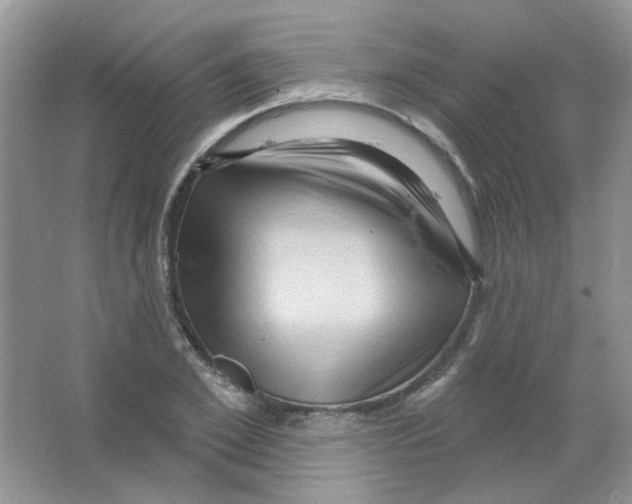 X0000063480981200602172018