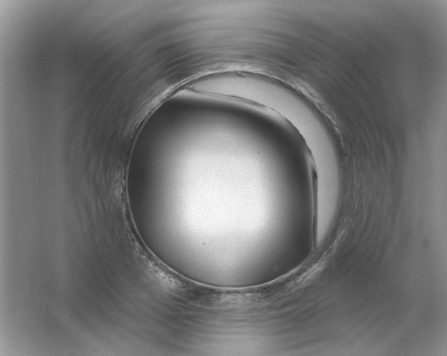 X0000063480985200602172018