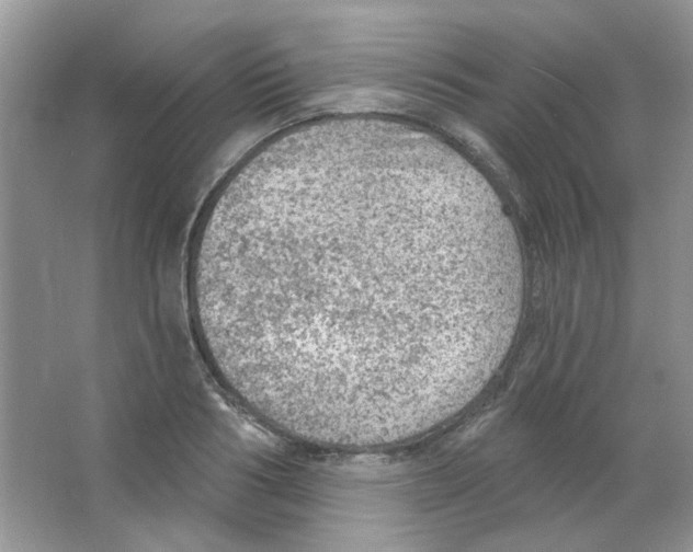 X0000063480986200602172018
