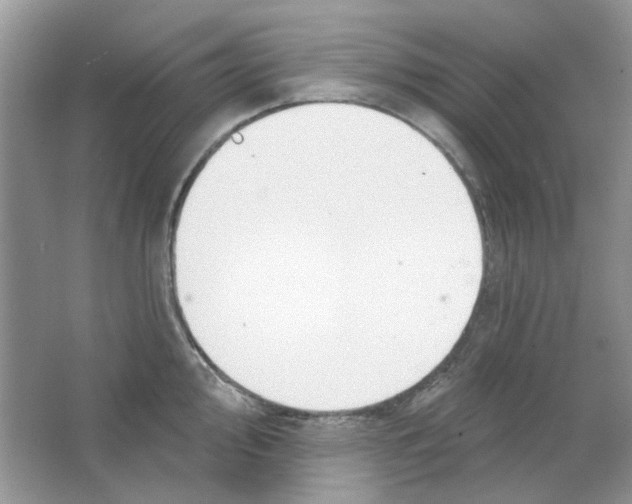 X0000063481000200602172018