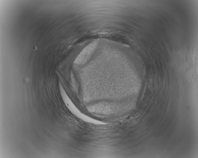 X0000063481010200602172017