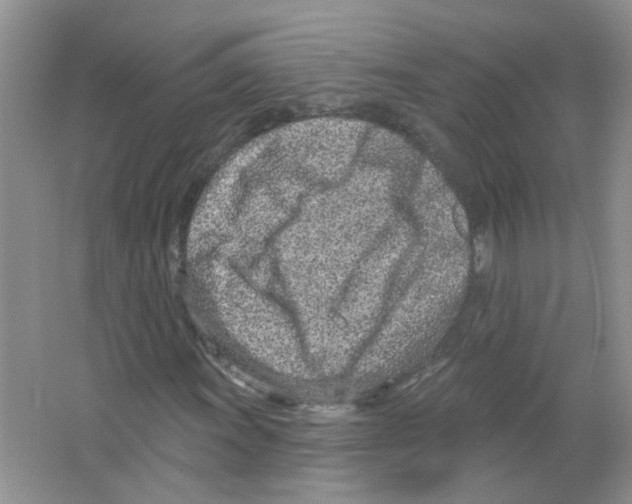 X0000063481011200602172017