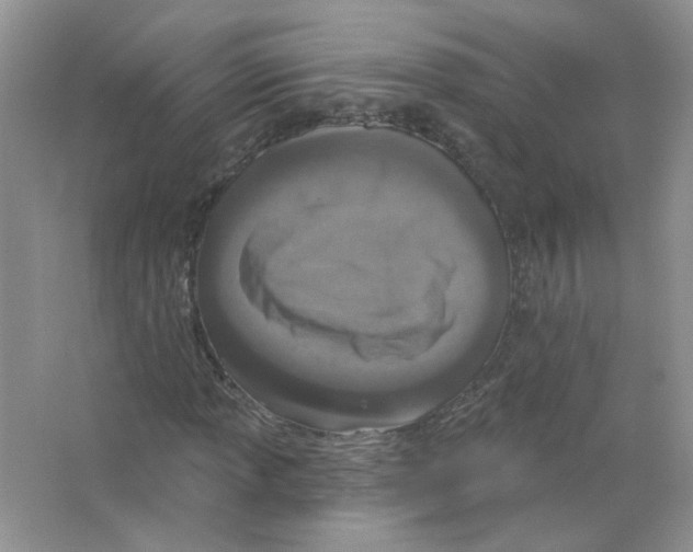 X0000063481013200602172017