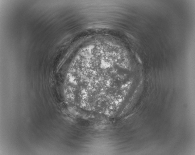 X0000063481014200602172017