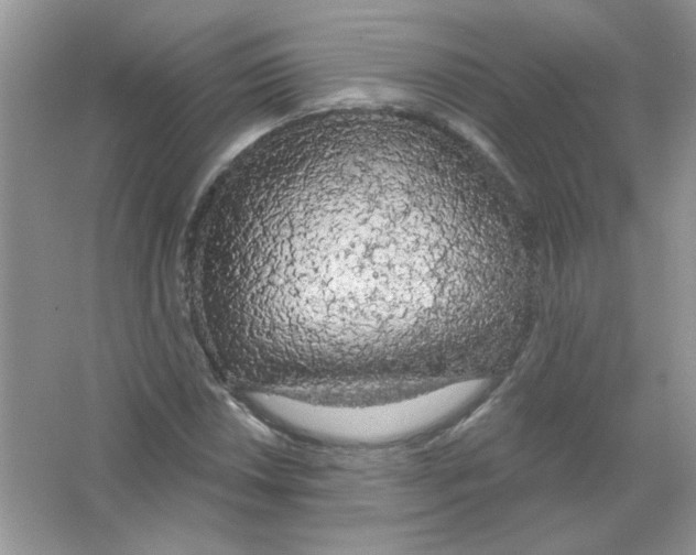 X0000063481018200602172017