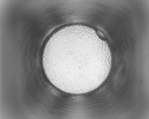 X0000063481023200602172017