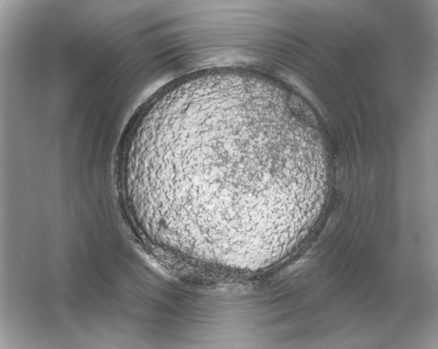 X0000063481026200602172017