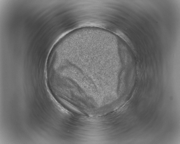 X0000063481028200602172017