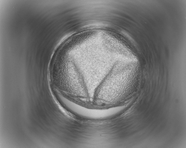 X0000063481034200602172017
