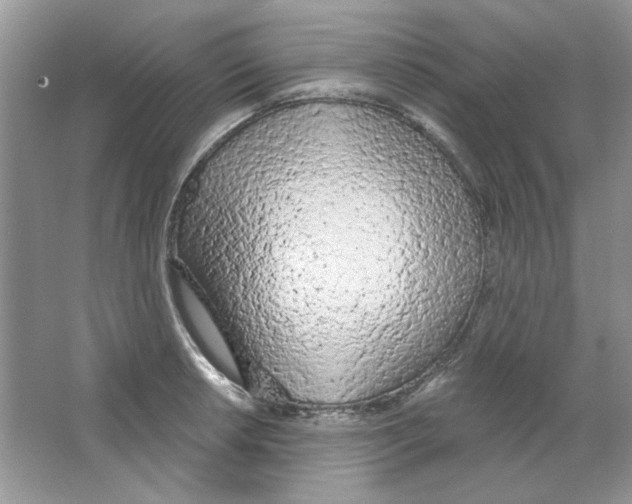 X0000063481042200602172018