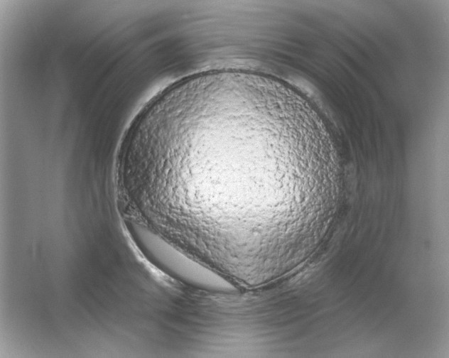 X0000063481046200602172018