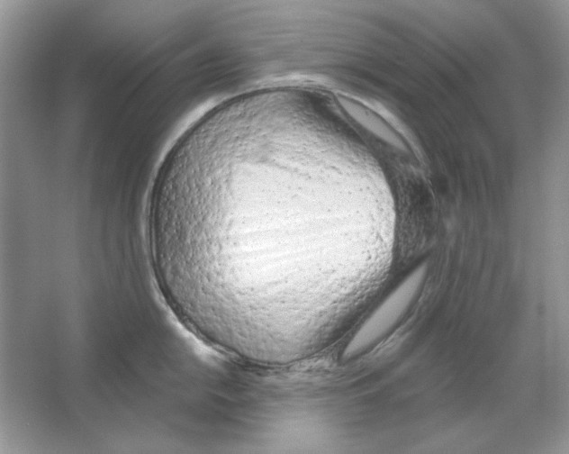 X0000063481054200602172018