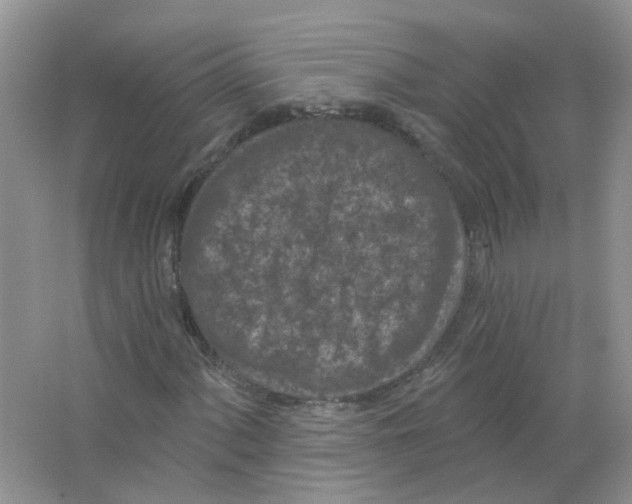 X0000063481060200602172017