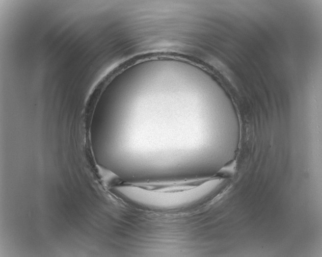 X0000063481069200602172017