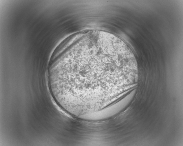 X0000063481100200602172016