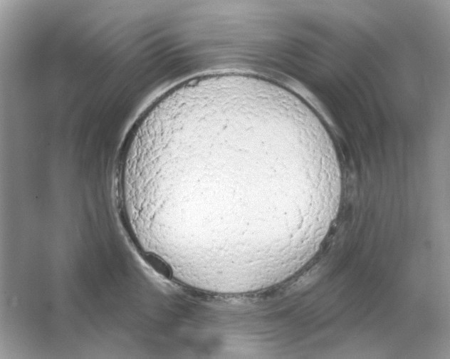 X0000063481101200602172016