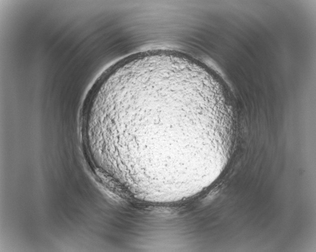 X0000063481124200602172016