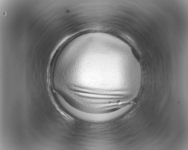 X0000063481128200602172016