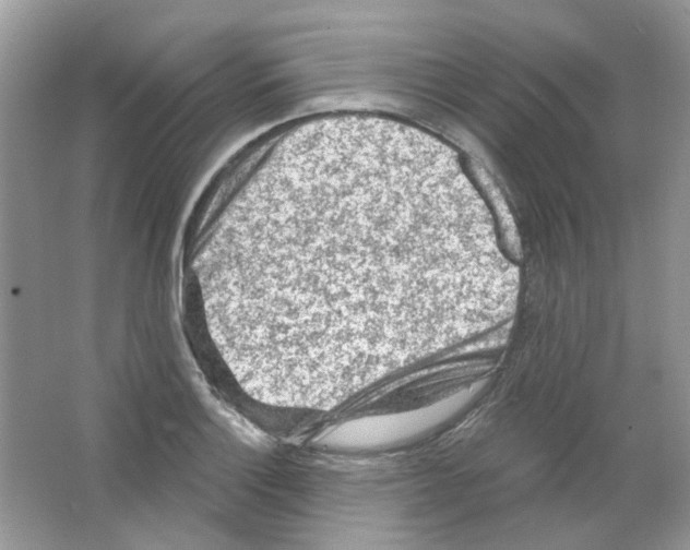 X0000063481132200602172016