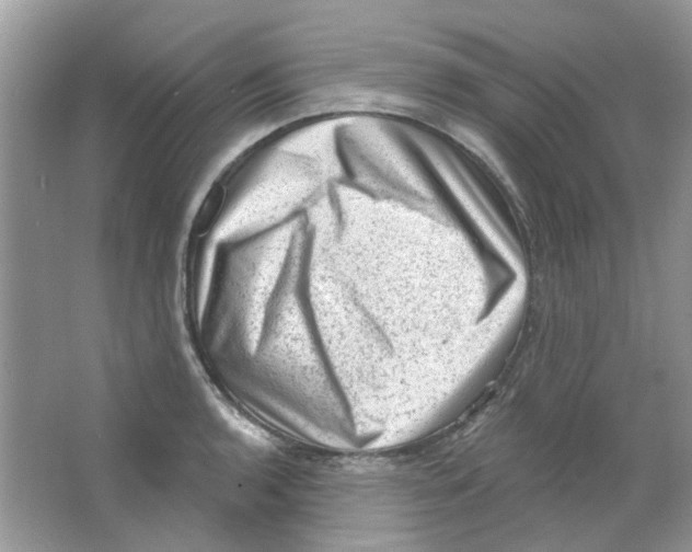 X0000063481136200602172016