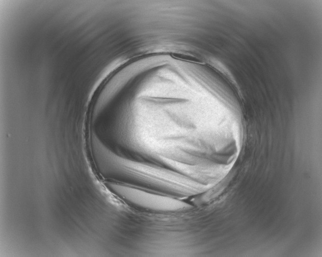X0000063481138200602172016