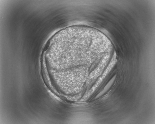 X0000063481151200602172016