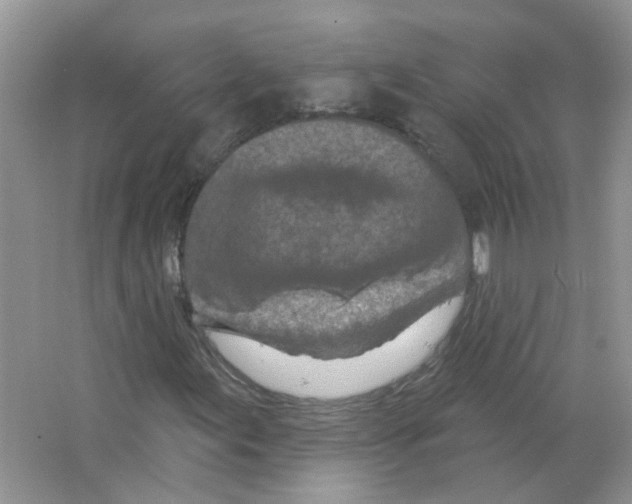 X0000063481155200602172015