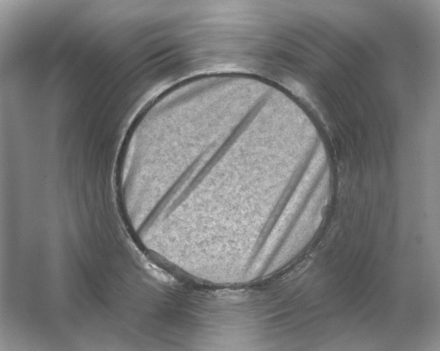 X0000063481181200602172015