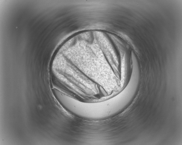 X0000063481184200602172015